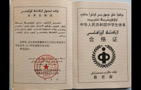 新疆2002年高中畢業(yè)證（新疆高中畢業(yè)證樣本圖片）